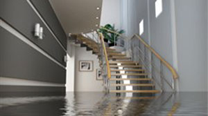 Water Damage Claims